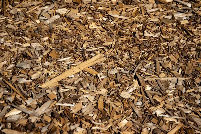 Fresh bark mulch spread across a garden border to suppress weeds and hold moisture