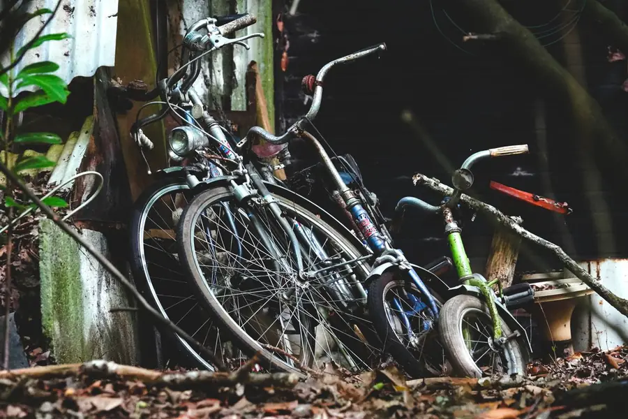 Several bicycles, including a child's bike, leaning against the side of an old wooden shed