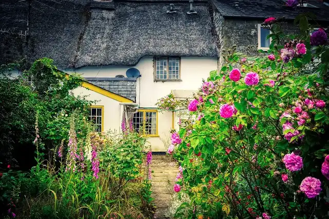 Cottage front garden with pink roses and foxgloves either side of a path to the front door