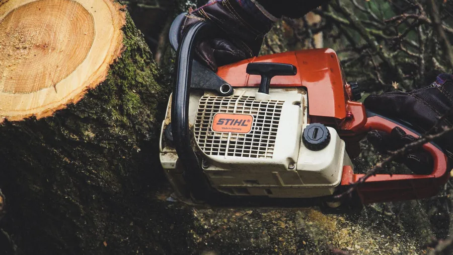 Chainsaw cutting through a felled tree trunk, showing the kind of removal work that needs consent for protected trees in Hertfordshire