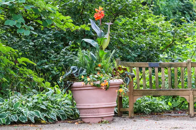 Wooden garden bench beside a large terracotta pot and layered planting