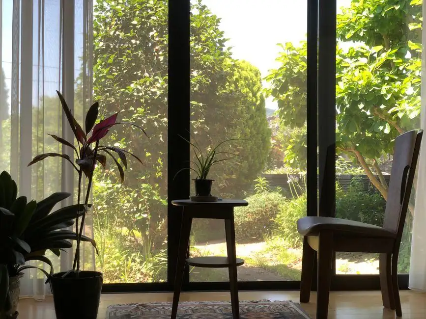 View out through tall glazing to a sunlit garden path and planting, as seen from inside a garden room