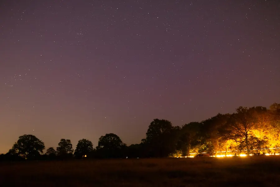 Orange glow of artificial light spilling over a dark tree line under a night sky, the kind of light pollution a careful garden lighting design avoids on the green belt edge