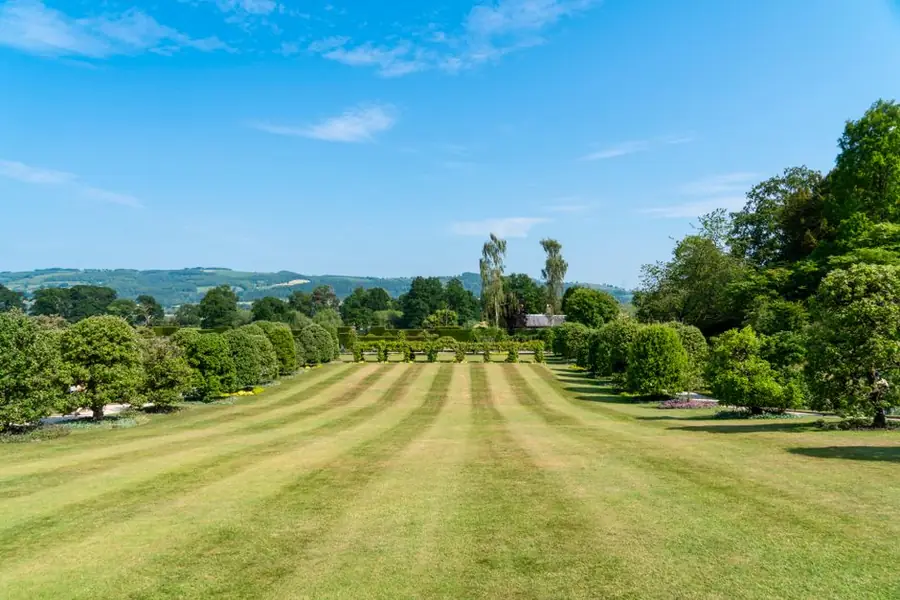 Long striped lawn flanked by mature trees and clipped shrubs in an established garden