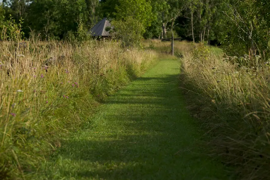 Mown grass path running between tall meadow grass and trees in an English garden