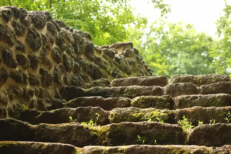 Old moss-covered stone garden steps overgrown with seedlings and shaded by trees