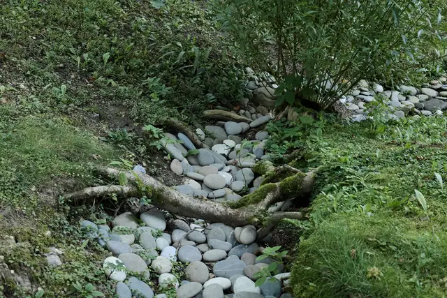 Rounded pebbles lining a shallow channel between ferns and grasses, a dry stream bed design that can act as a garden swale