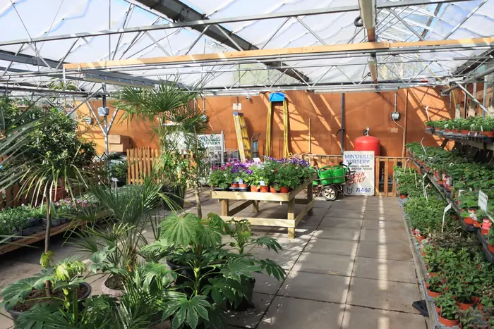 Plants under glass at a nursery, where a planting plan specification gets priced and sourced