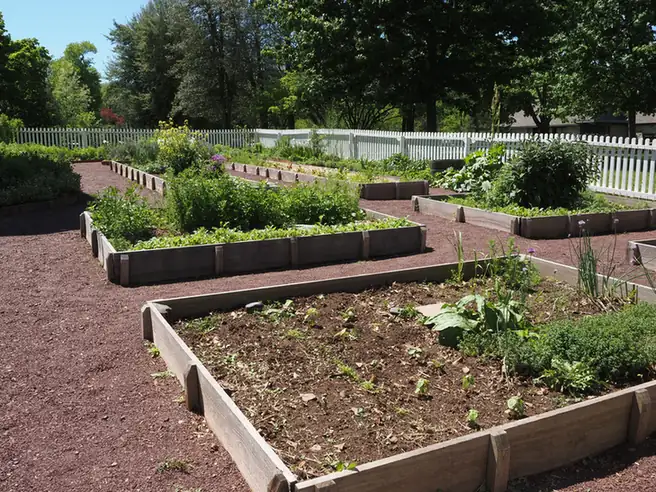 Raised vegetable beds in a productive kitchen garden