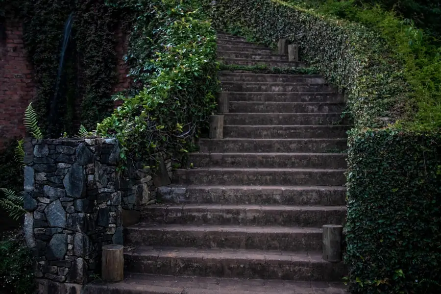 Broad stone garden steps climbing between clipped hedges and a stone pier on a sloping plot