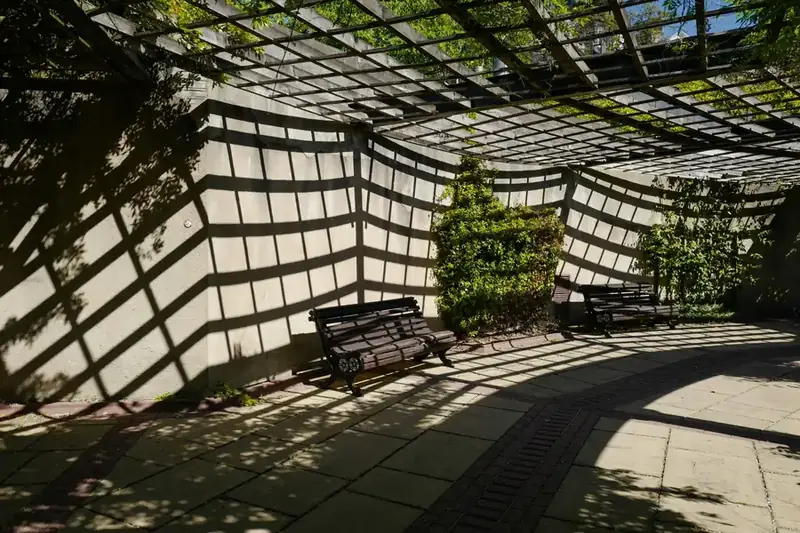 Sunlight and shadow falling through a pergola onto paving, showing how light moves across a garden