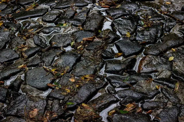 Wet stone setts glistening after rain with fallen leaves, showing how a paved surface needs a fall so water runs off rather than sitting