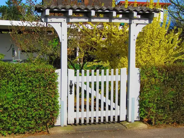 White timber gate under a small pergola, set between two neatly clipped green hedges