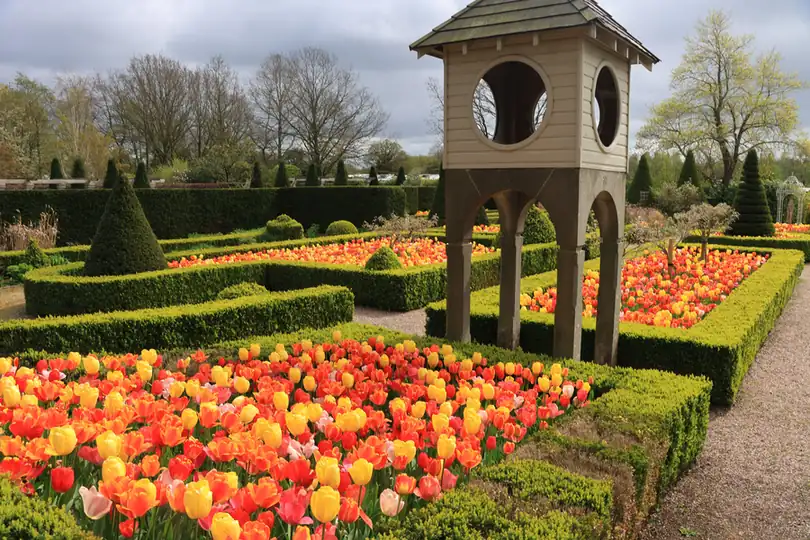 Formal parterre garden with box hedging, tulip beds and a stone arbour behind a period house
