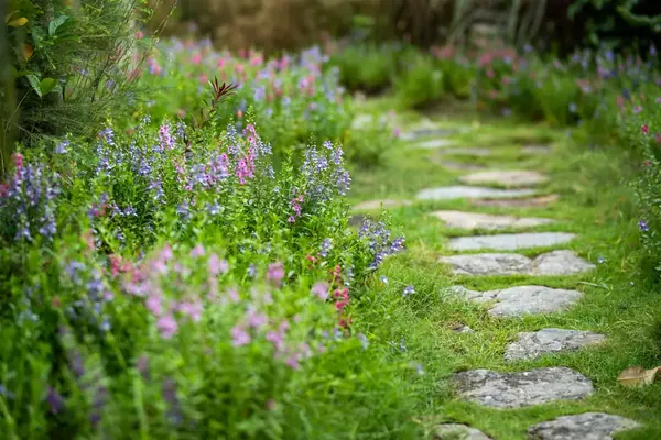 Natural stone stepping path laid through soft cottage-style planting