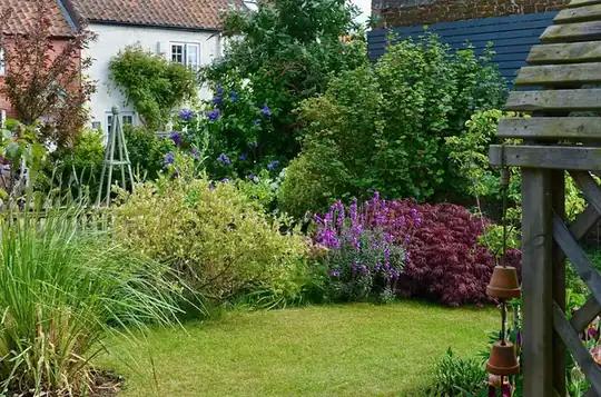 Cottage garden borders with catmint, grasses and roses beside a small lawn